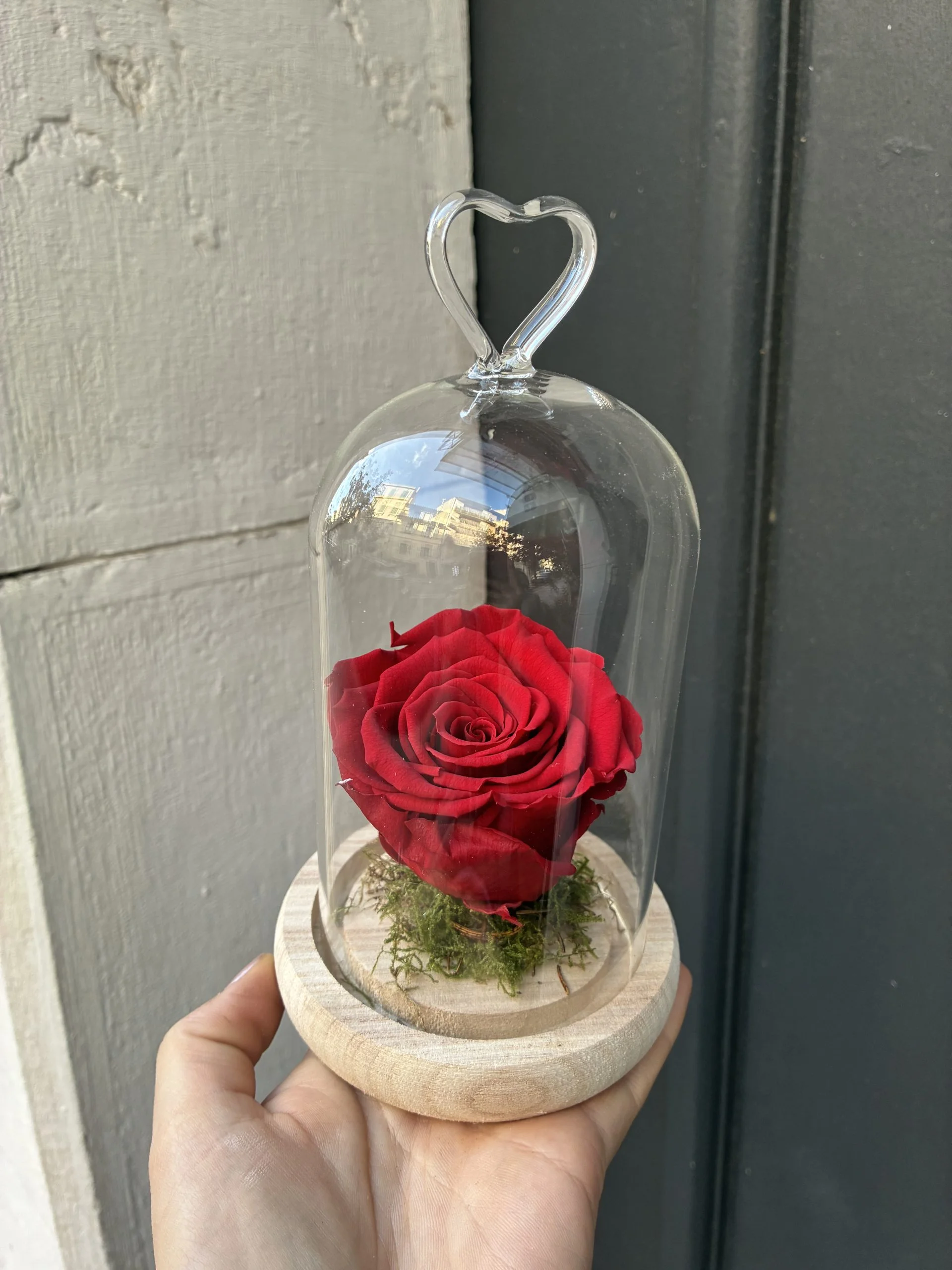 Rose éternelle sous cloche, par La Rose d'Or, fleuriste à Ollioules