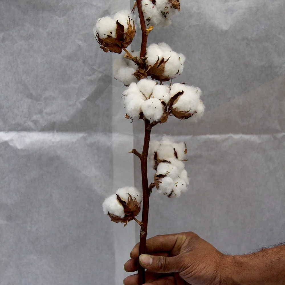 Bouquet Printemps, par C'est chouette, fleuriste à Paris