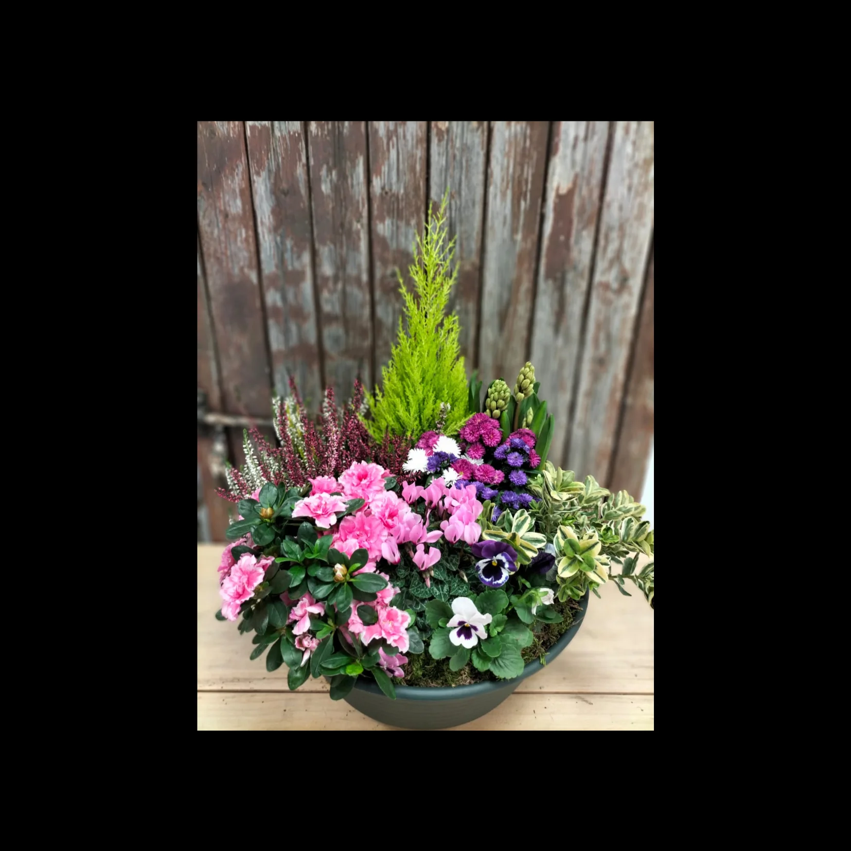 coupe de plante, par Monloup artisan fleuriste, fleuriste à Roanne