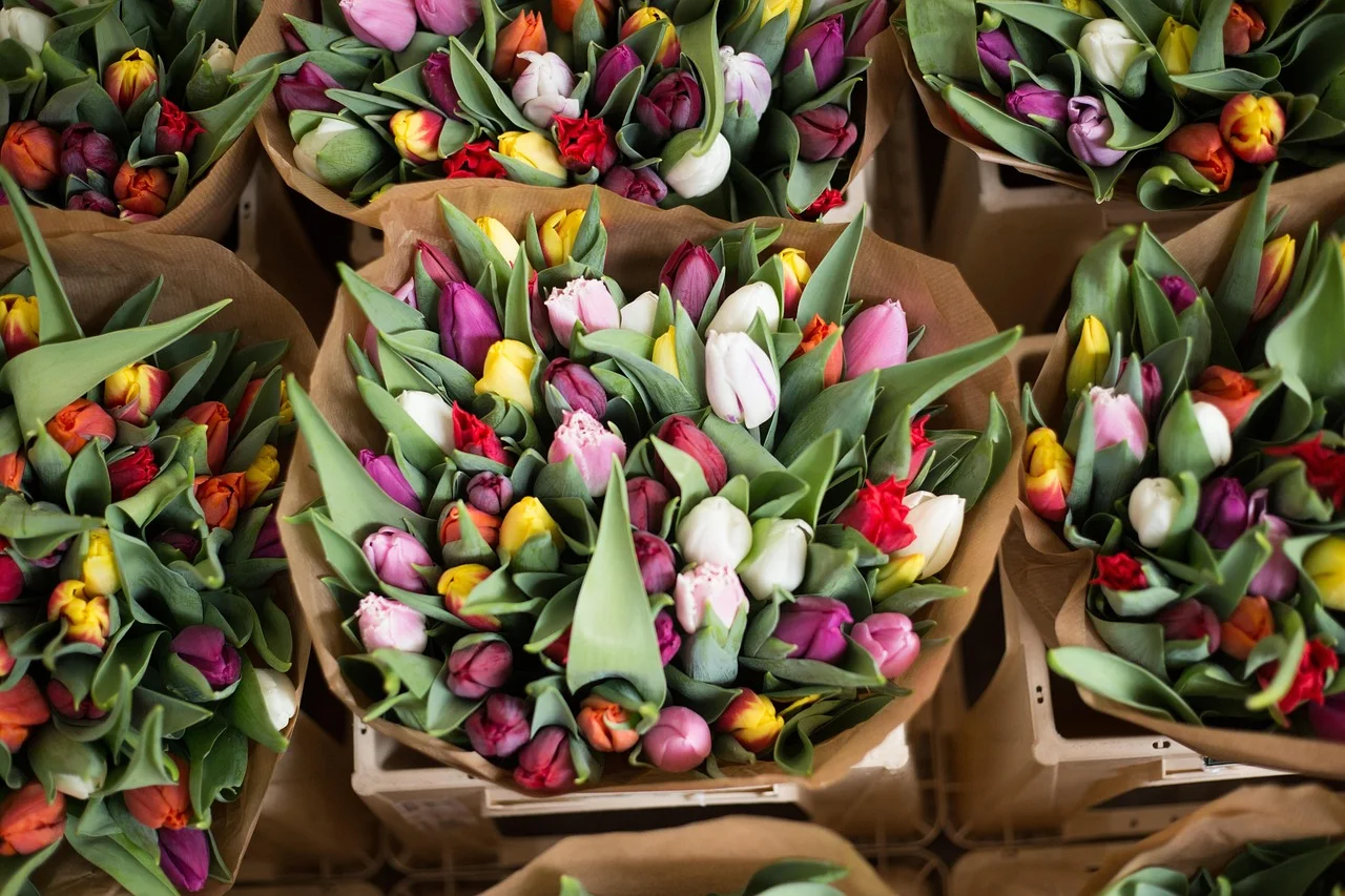 Bouquet de Tulipes, par O'kiosque Lyon, fleuriste à Lyon