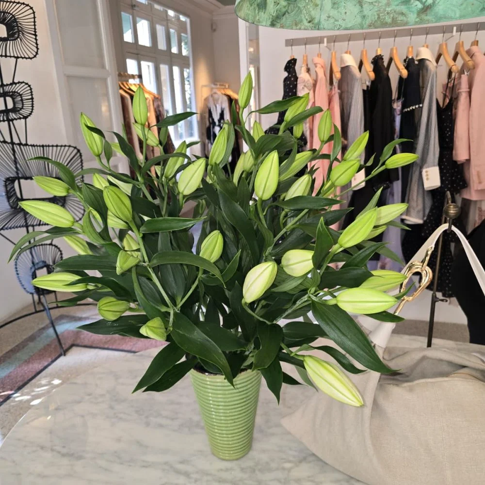 Bouquet de Lys, par Les Fleurs de Lutece, fleuriste à Paris