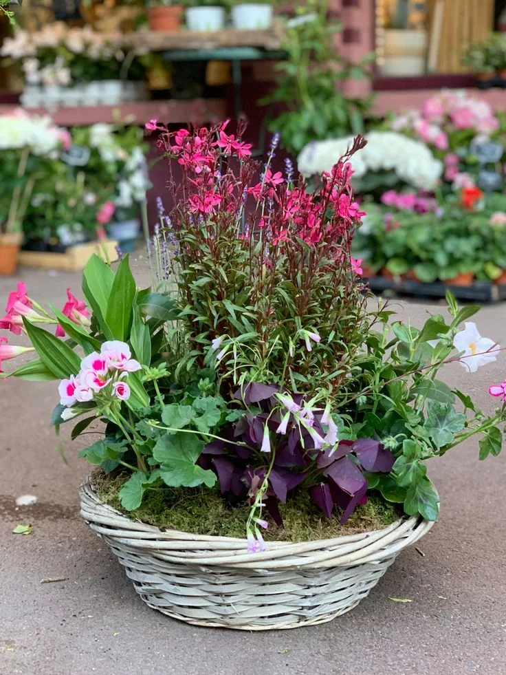 Coupe de plantes Deuil, par MAŸ Fleuriste, fleuriste à Bayonne