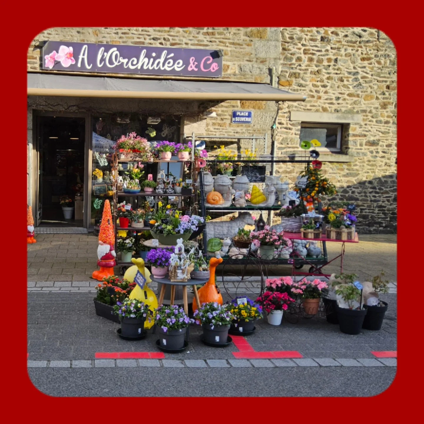 Livraison de fleurs Plérin et proximité, par A l'Orchidée & Co, artisan fleuriste