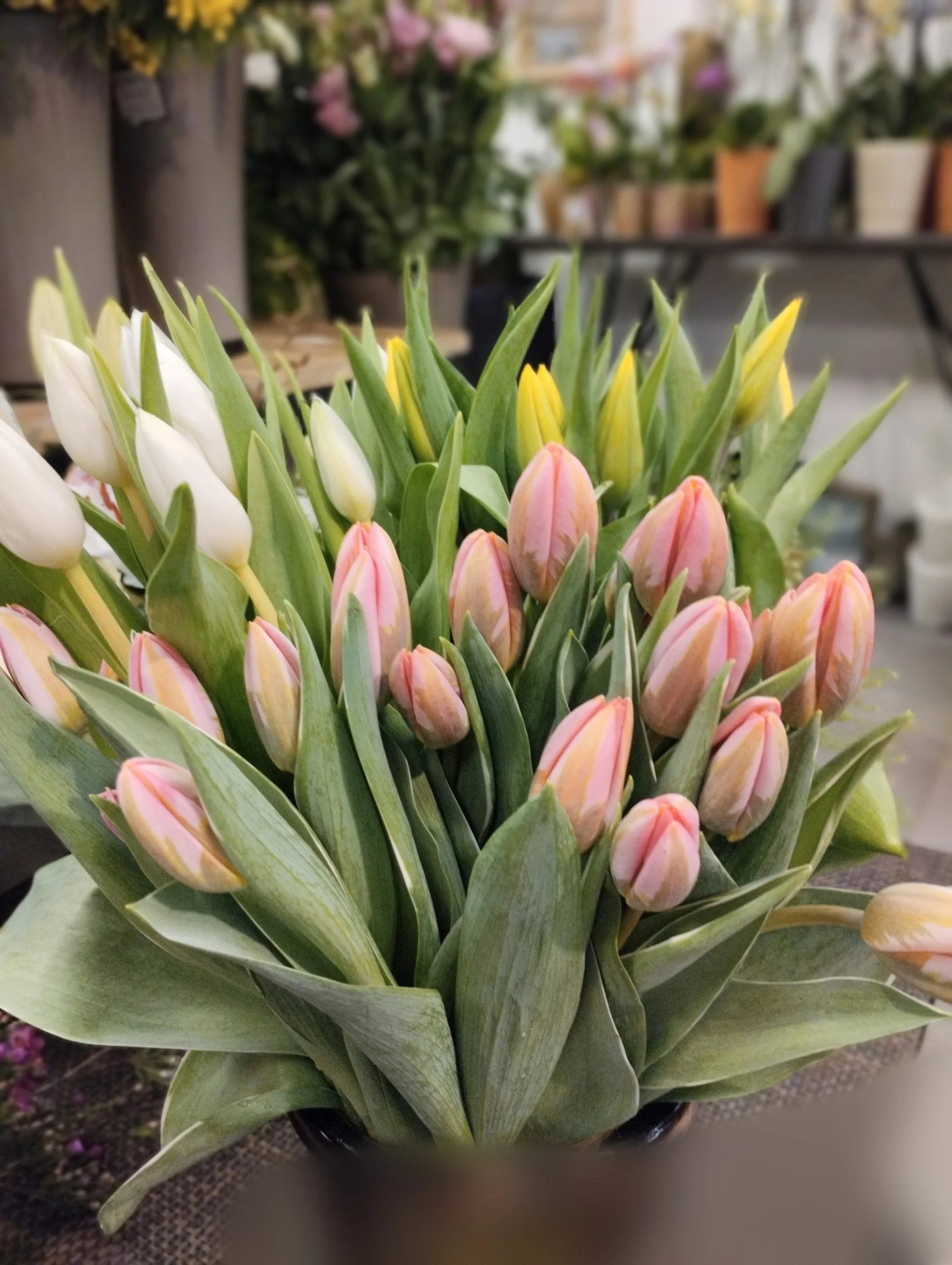 Bouquet de Tulipes, par Le Lysianthus, fleuriste à Jugon-les-Lacs
