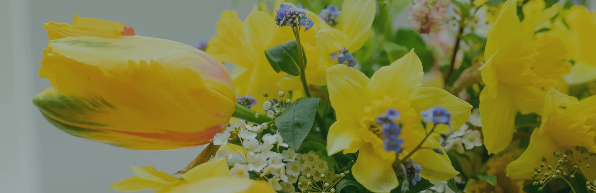 Les plus beaux bouquets de fleurs Jaunes livrés par votre artisan fleuriste