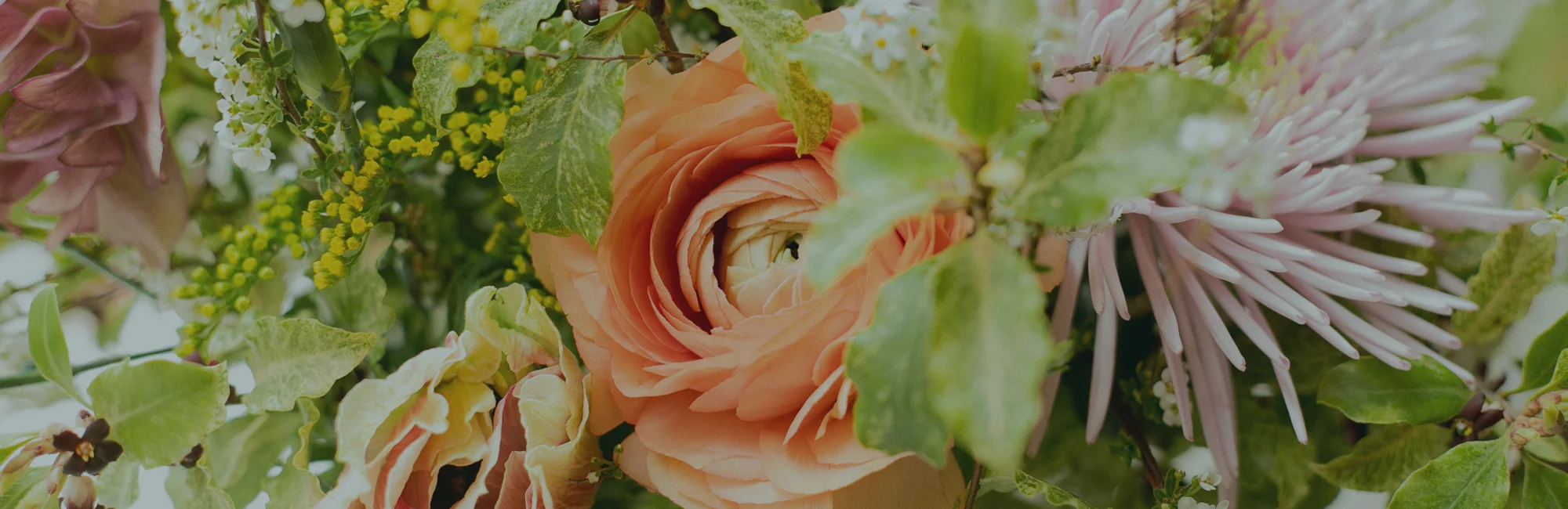 Les plus beaux bouquets de fleurs Ronds livrés par votre artisan fleuriste
