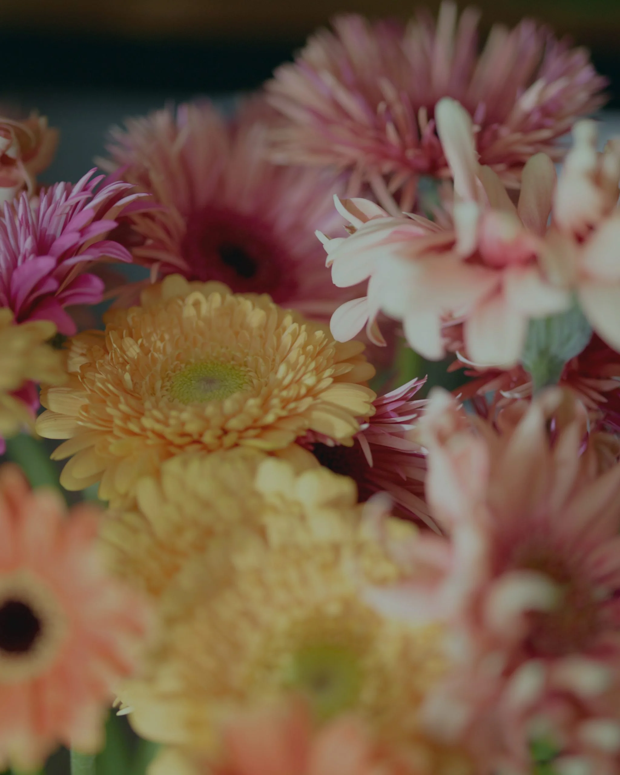 Les plus beaux Cadeaux pour sa Belle-Mère, livrés par votre artisan fleuriste