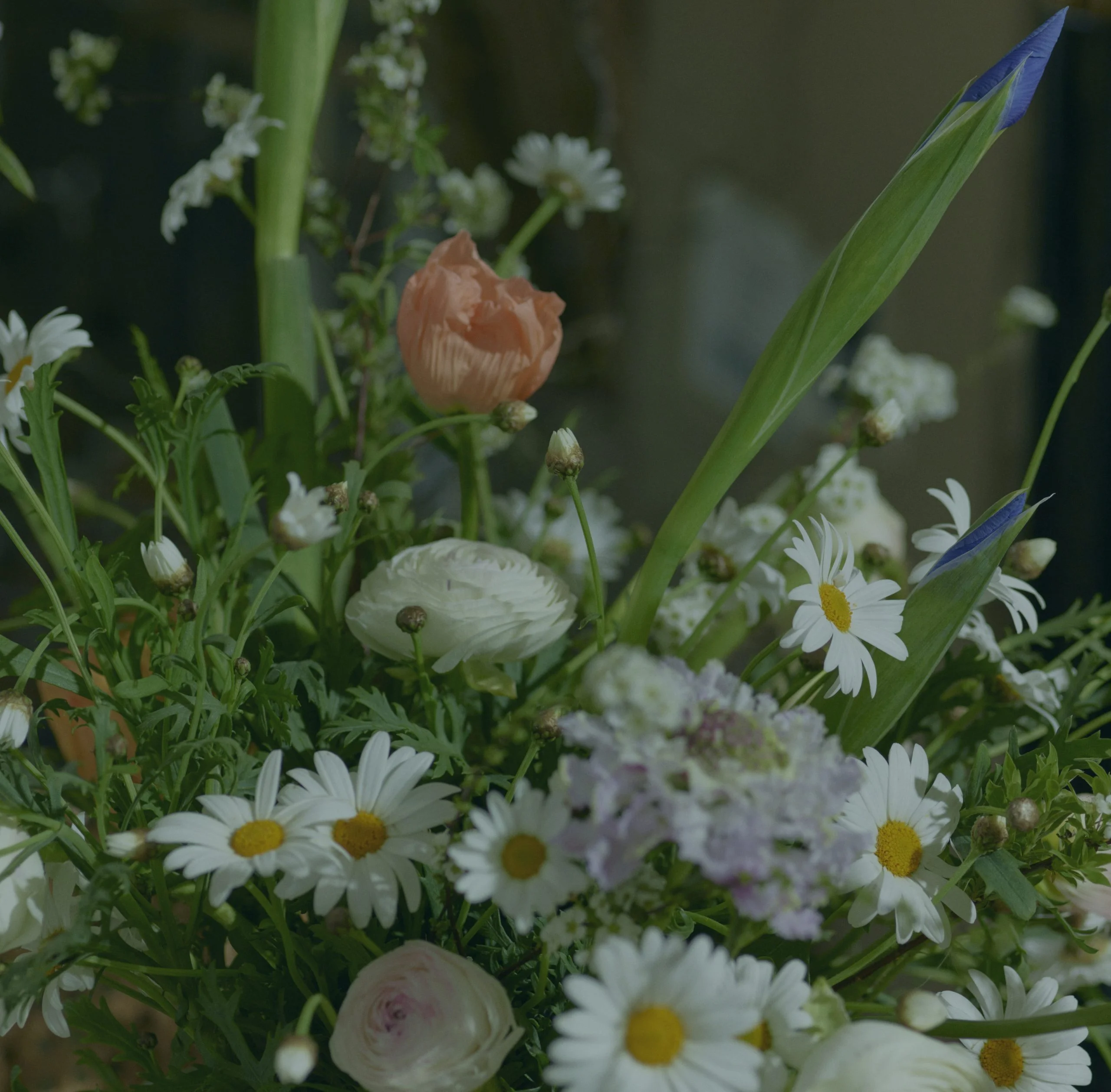 The Most Beautiful Gifts for a Friend, Delivered by Your Local Florist