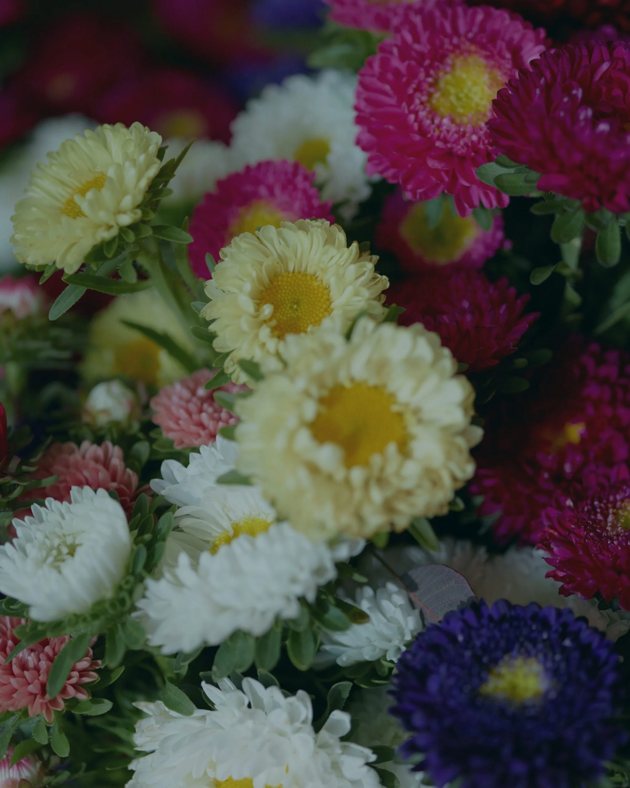 Les plus beaux Cadeaux pour un(e) Collègue, livrés par votre artisan fleuriste