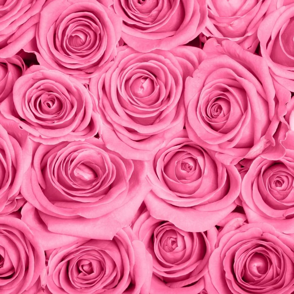 Bouquet de Roses roses, par Aux Colonnes Fleuries, fleuriste à Ajaccio