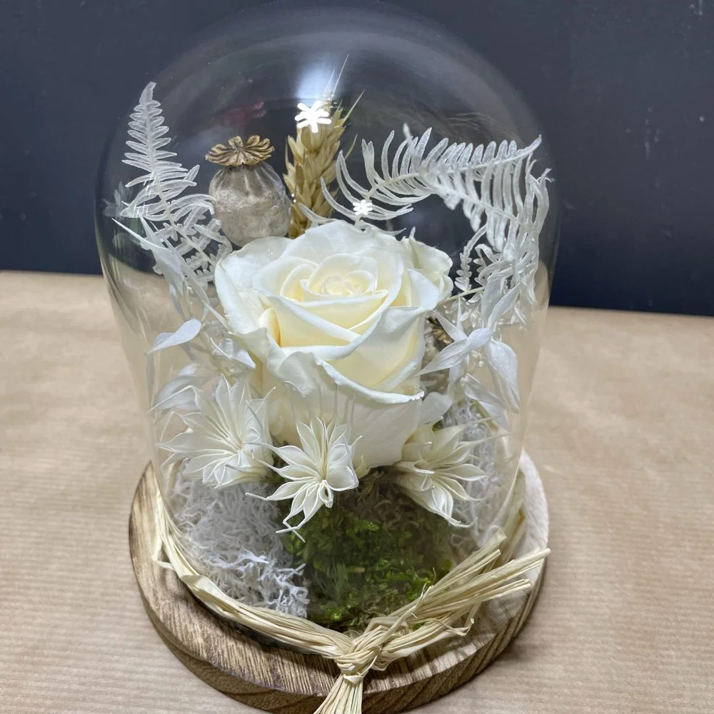 Cloche rose stabilisée blanche, par Eglantine et Pivoine, fleuriste à Davézieux