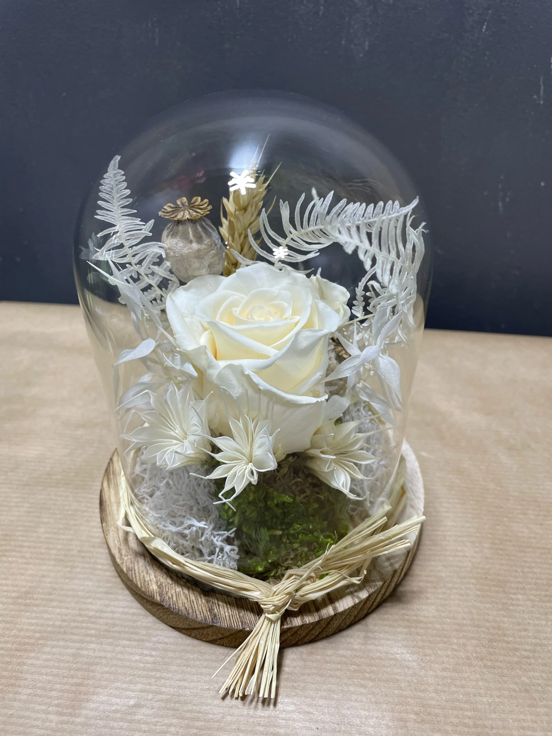 Cloche rose stabilisée blanche, par Eglantine et Pivoine, fleuriste à Davézieux
