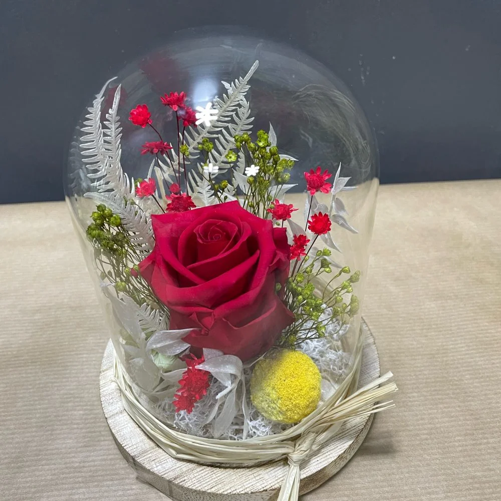 cloche fleurs séchées/stabilisées, par Eglantine et Pivoine, fleuriste à Davézieux