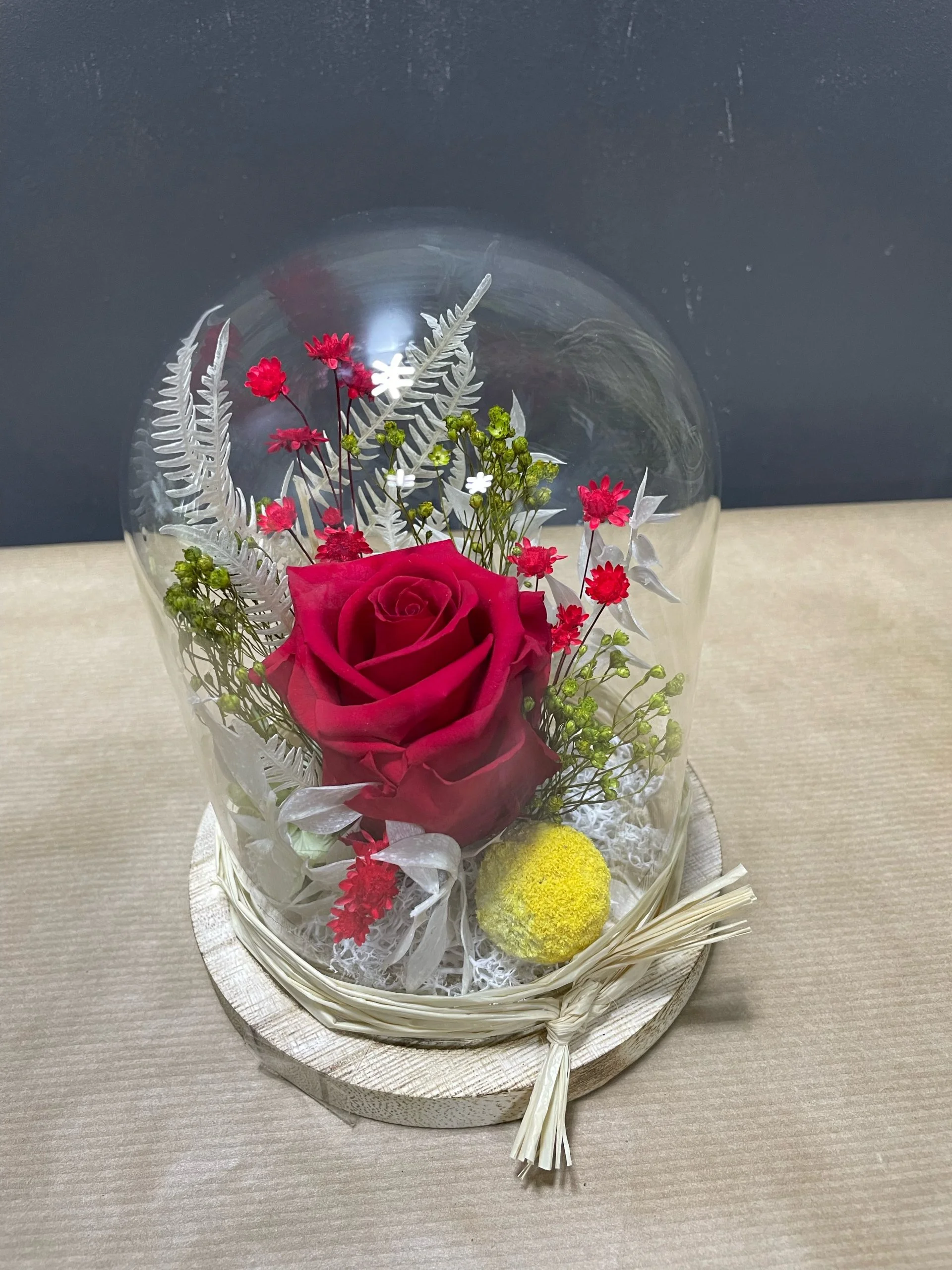 cloche fleurs séchées/stabilisées, par Eglantine et Pivoine, fleuriste à Davézieux