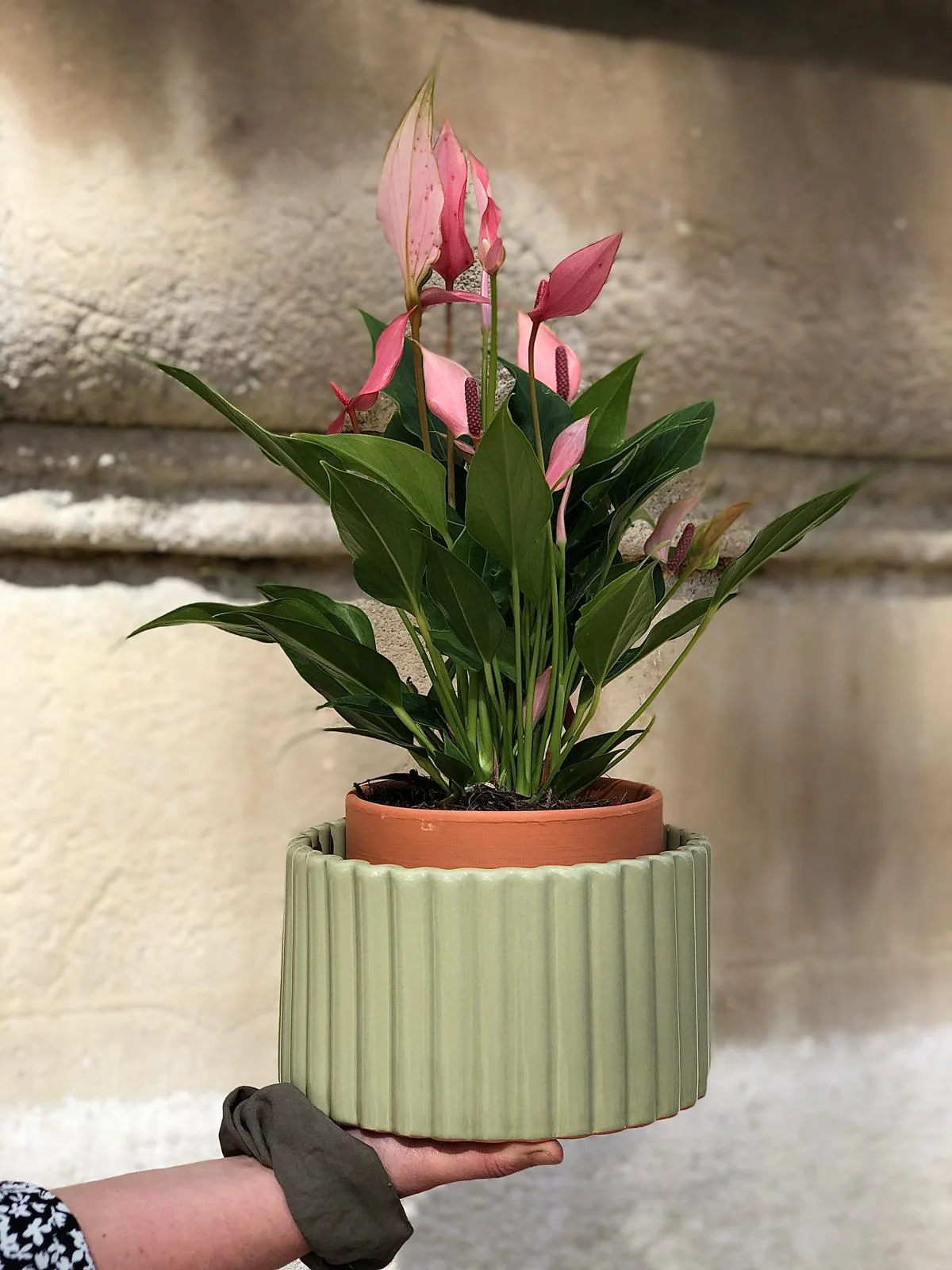 POT AUTONOME, par O'kiosque Lyon, fleuriste à Lyon