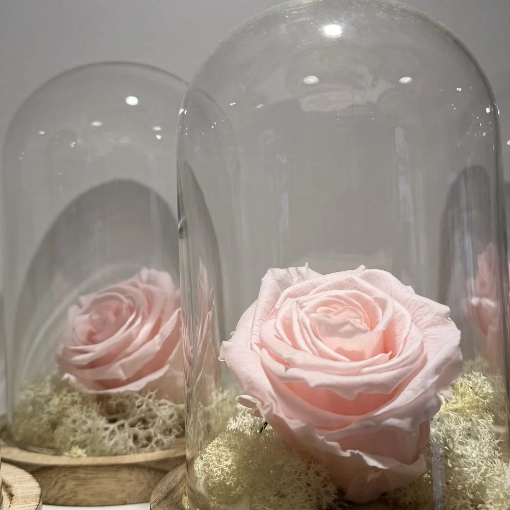 Rose éternelle, par Fleurs d’élégance, fleuriste à Caen