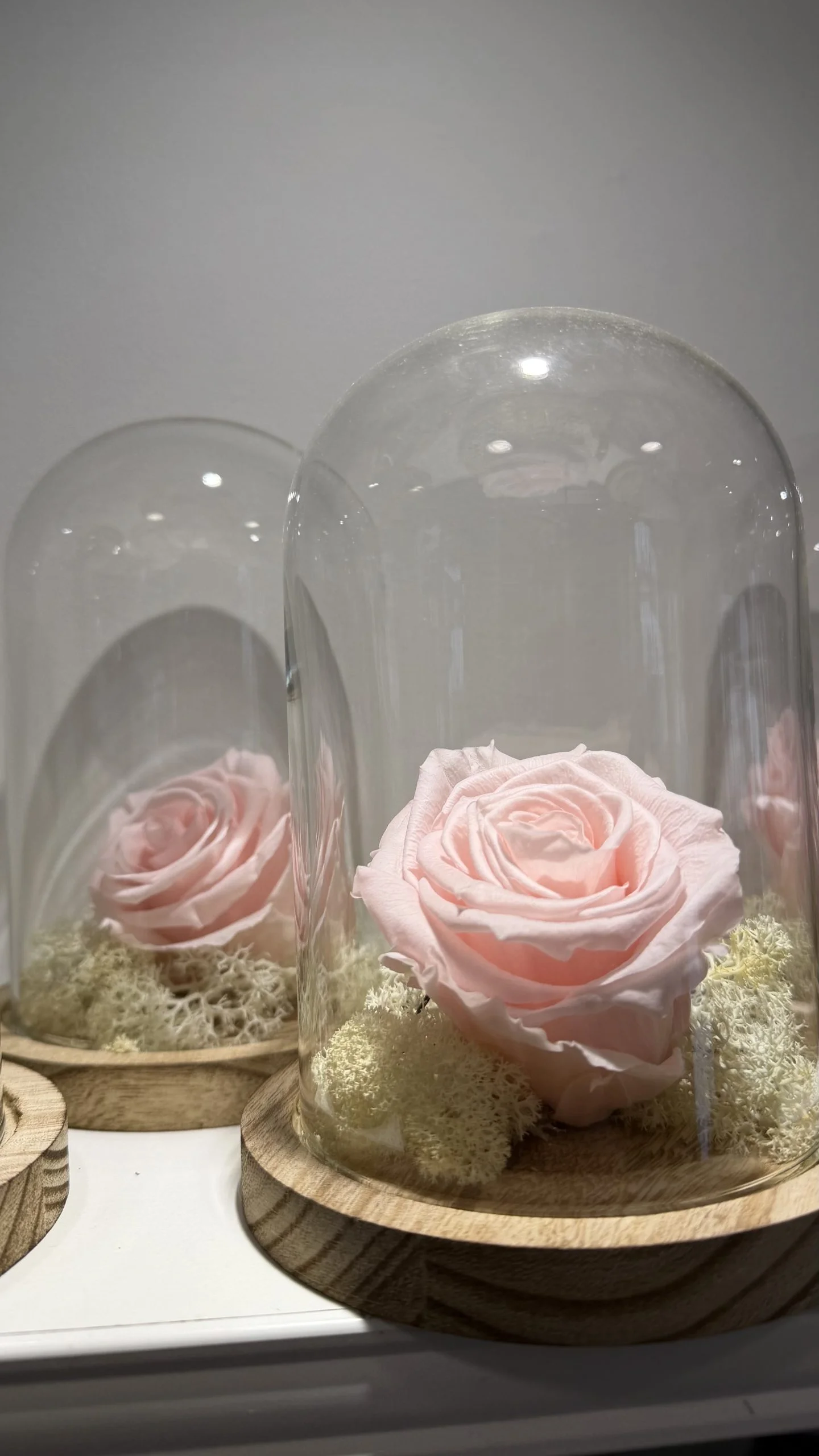 Rose éternelle, par Fleurs d’élégance, fleuriste à Caen