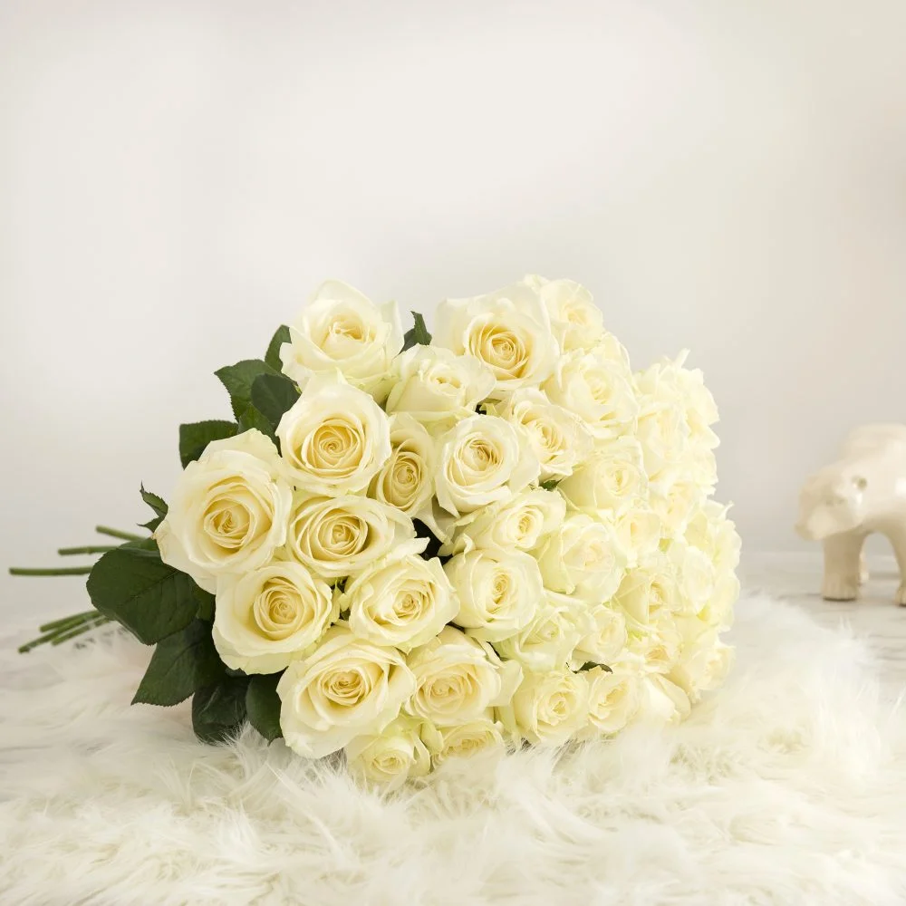 Bouquet de Roses blanches, par Aux Colonnes Fleuries, fleuriste à Ajaccio