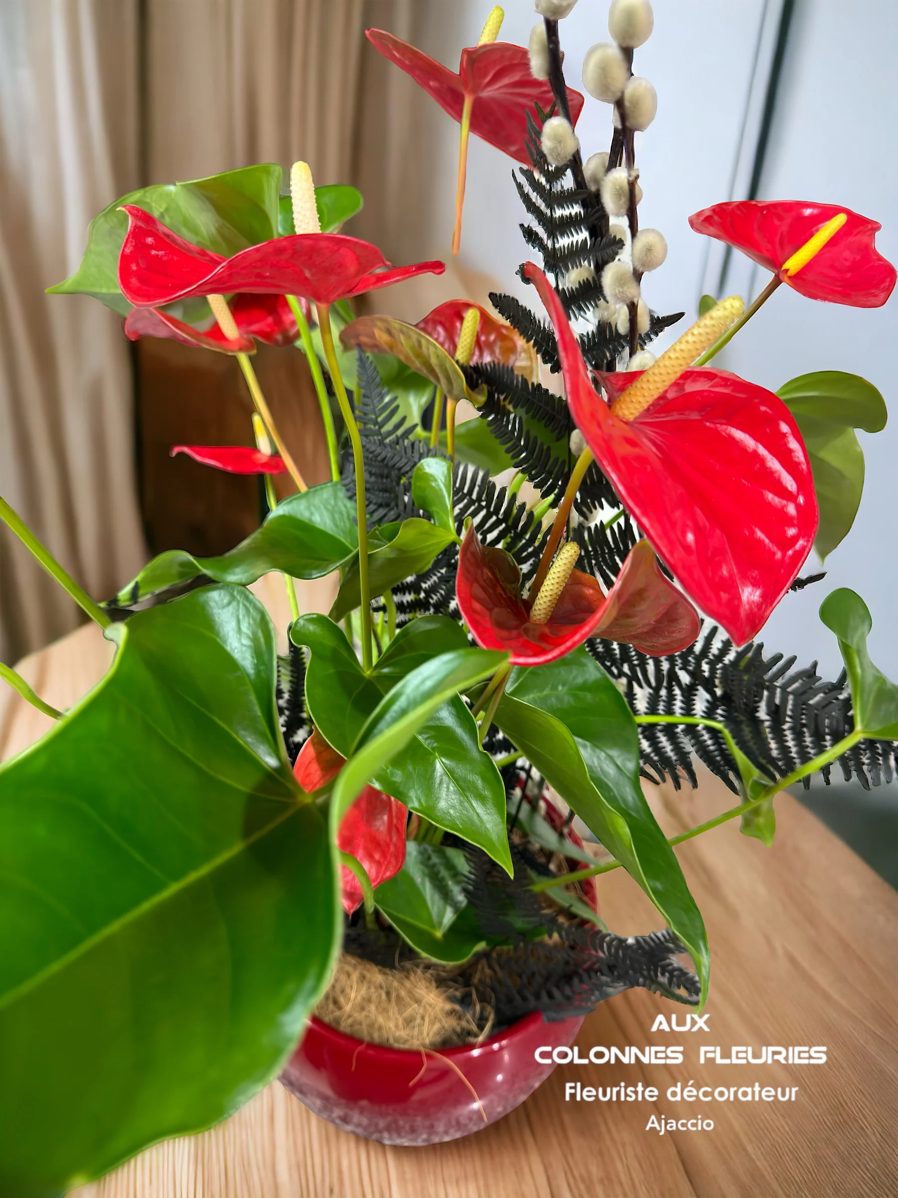 Plantes Vertes ou Fleuries, par Aux Colonnes Fleuries, fleuriste à Ajaccio
