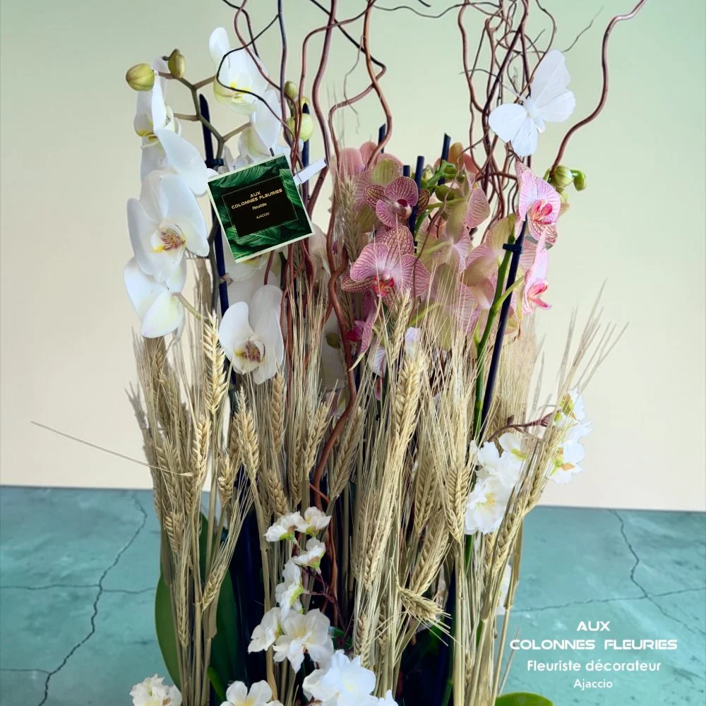 Orchidée, par Aux Colonnes Fleuries, fleuriste à Ajaccio