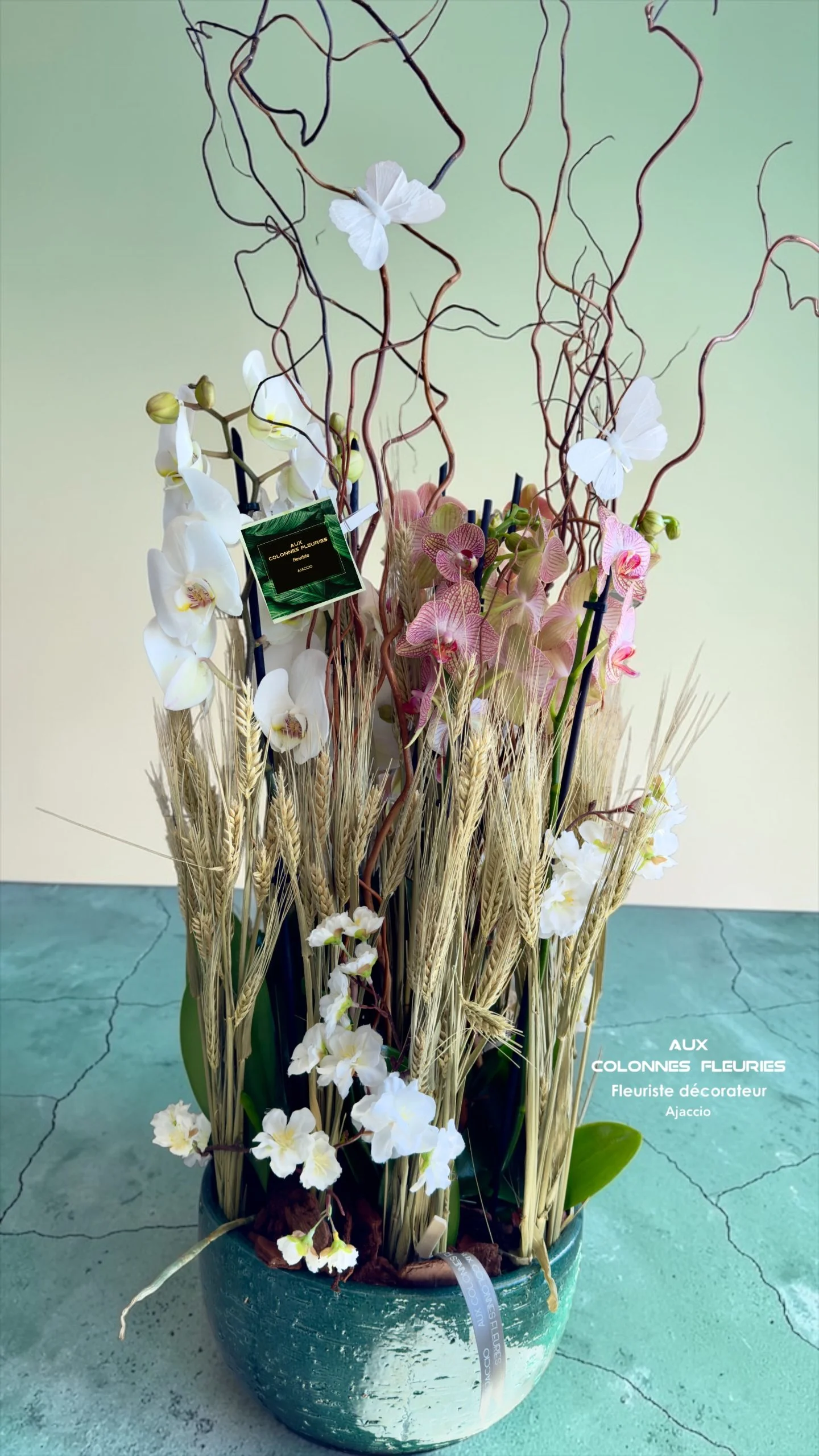 Orchidée, par Aux Colonnes Fleuries, fleuriste à Ajaccio