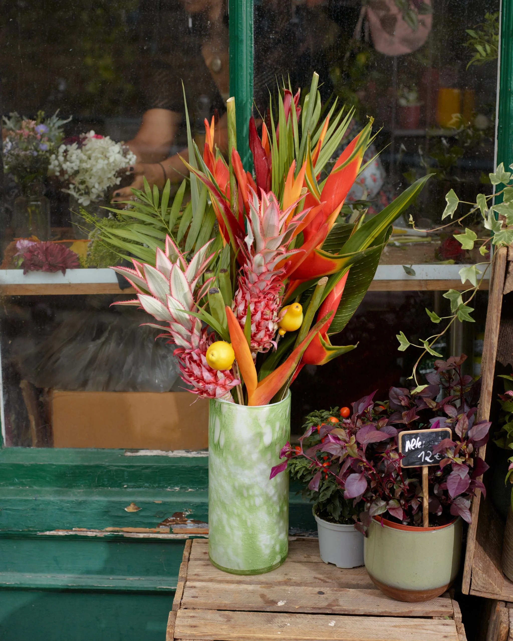 Plantes exotiques - Livraison de bouquets de fleurs par vos fleuristes préférés