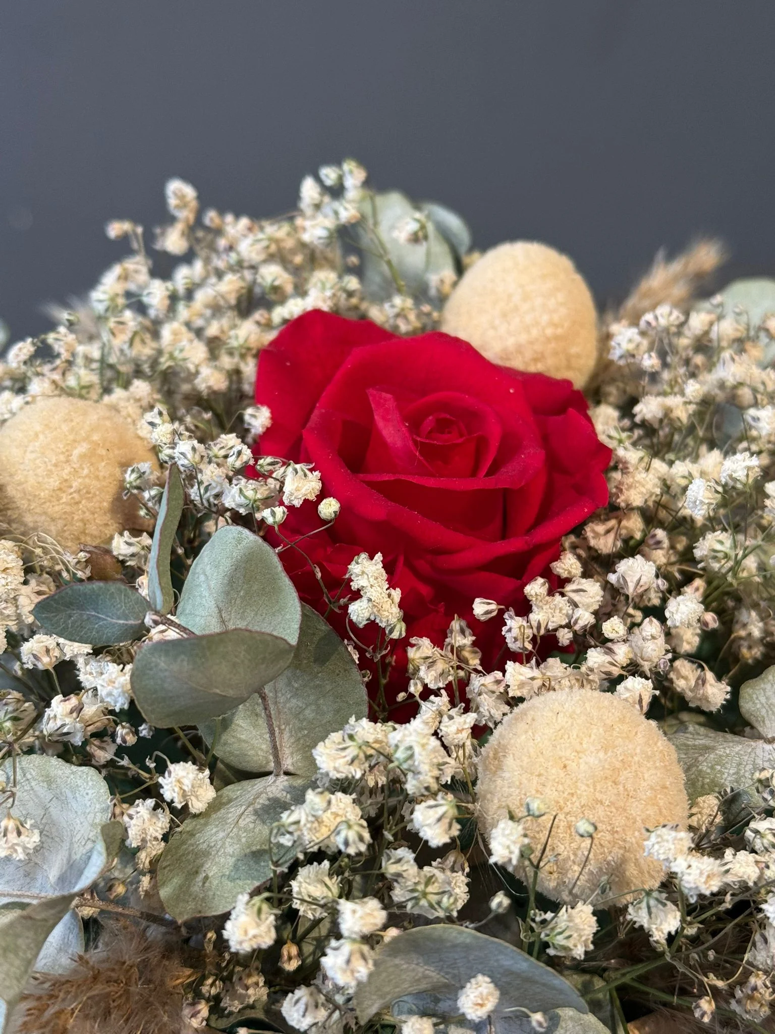 Bouquet De Roses Naturelles Séchées Vieux Rose, Fleurs Stabilisées, Cadeau Neuf