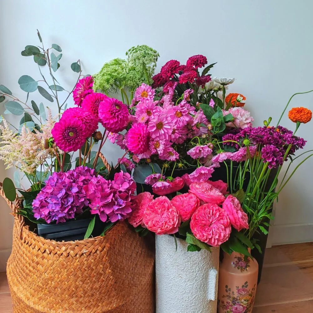 Fleurs de la Semaine, par Les Rêveries d'Elise - Atelier Floral, fleuriste à Aix-en-Provence