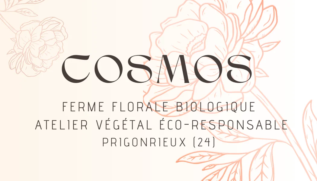 Livraison de fleurs Prigonrieux et proximité, par Cosmos Fleuriste, artisan fleuriste
