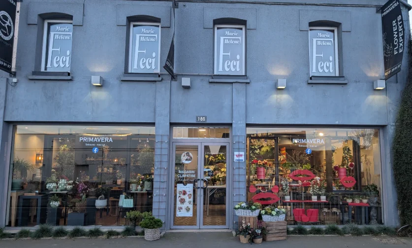 Livraison de fleurs Sains-en-Gohelle et proximité, par Primavera, artisan fleuriste