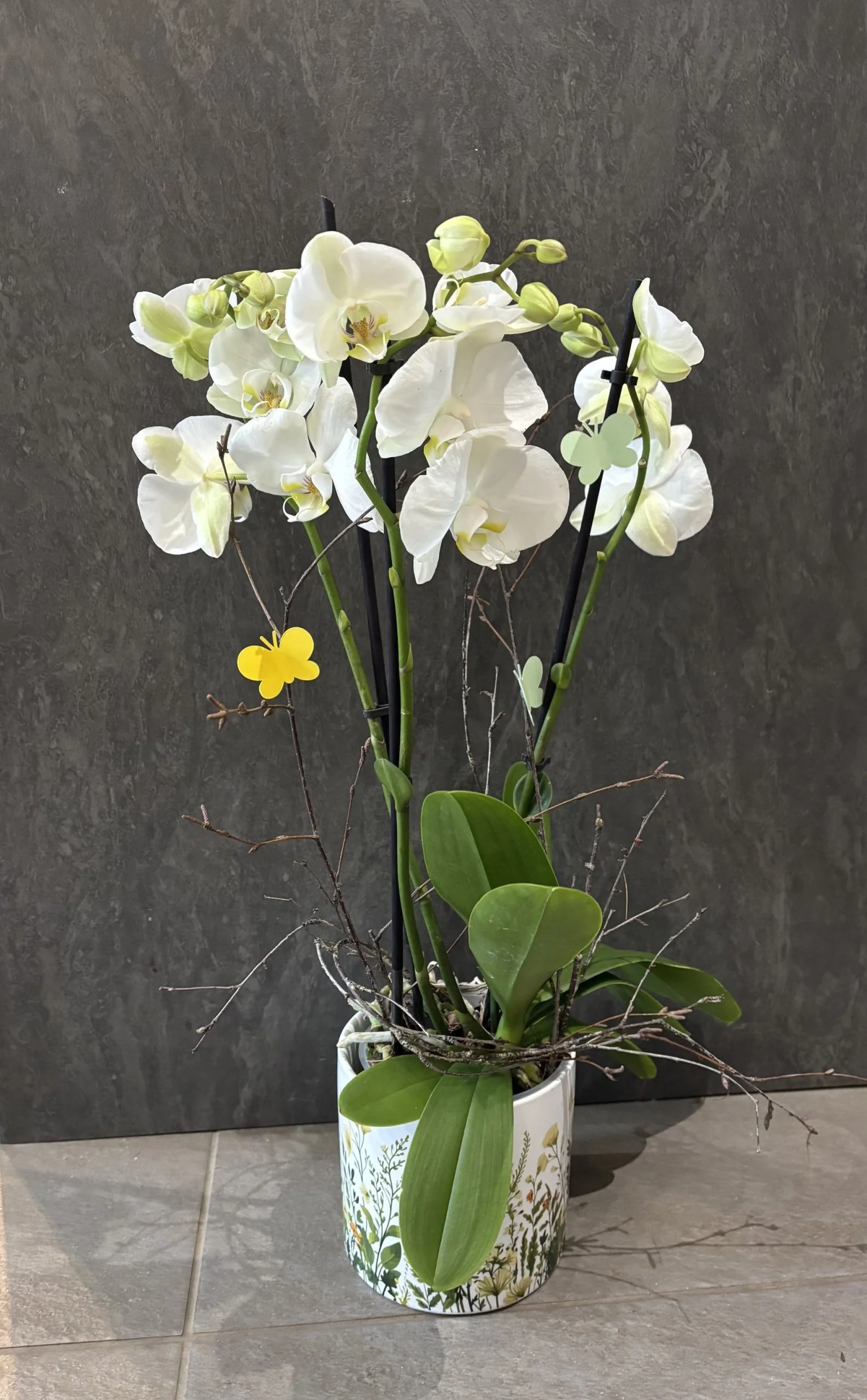 ORCHIDEE, par A l'Orchidée & Co, fleuriste à Plérin