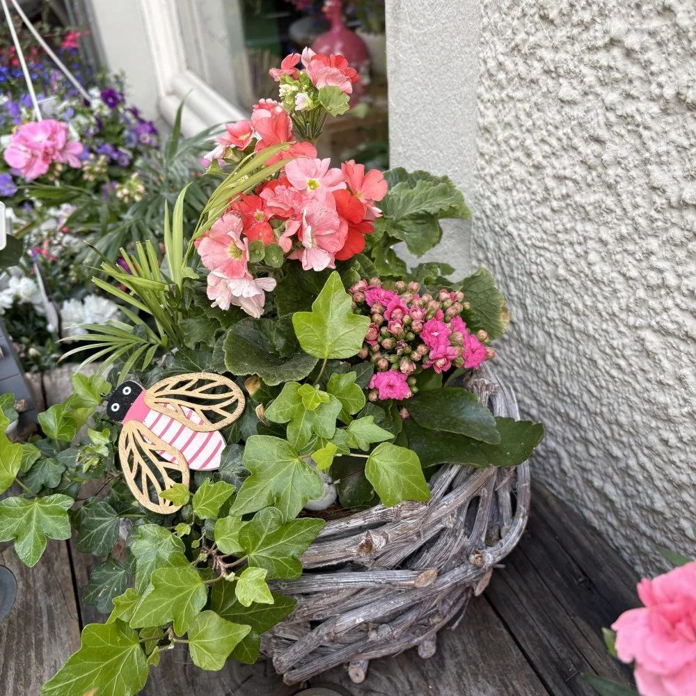 Composition plante de saisons, par Coeur de Fleur, fleuriste à Gembloux