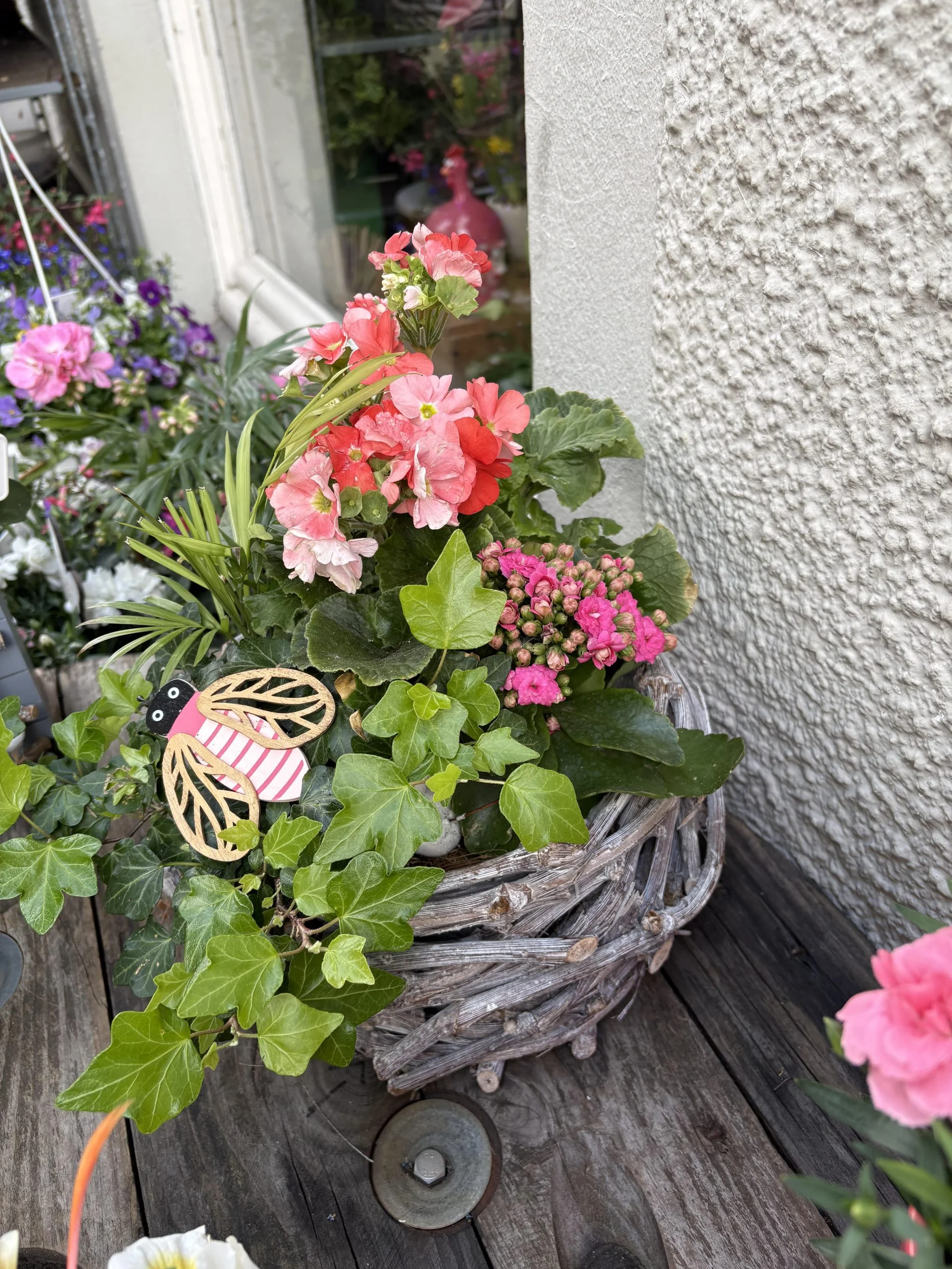 Composition plante de saisons, par Coeur de Fleur, fleuriste à Gembloux