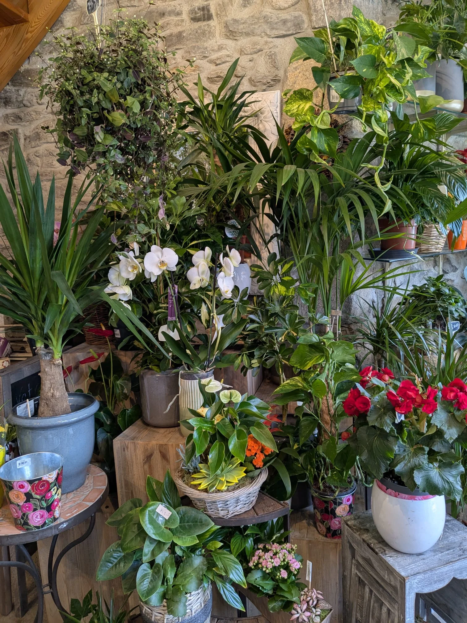 Livraison de fleurs Chazelles-sur-Lyon et proximité, par Votre Fleuriste - Ponchon, artisan fleuriste