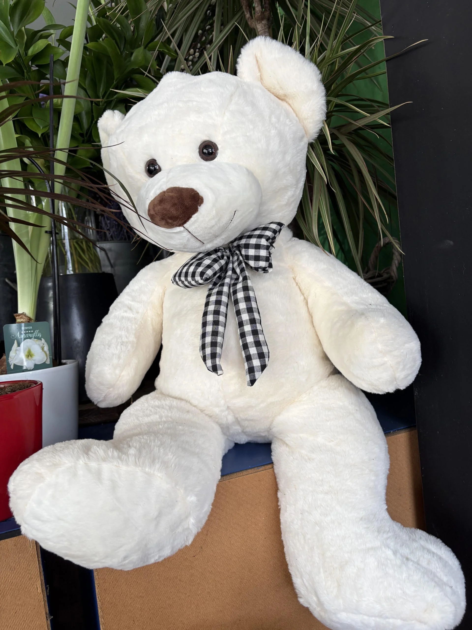 Ourson en peluche blanc de 60cm, par Coeur de Fleur, fleuriste à Gembloux