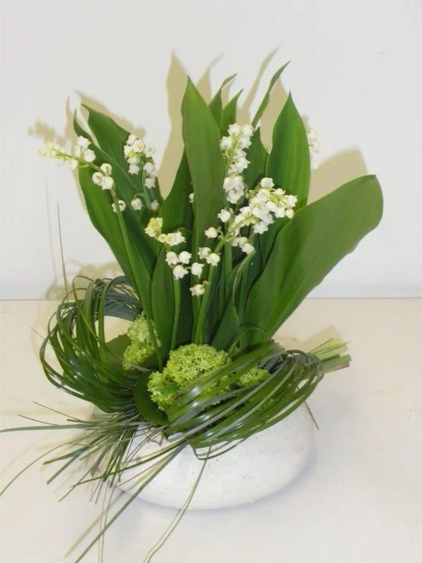 Plante - petit bonheur, par Les fleurs de Célony, fleuriste à Aix-en-Provence