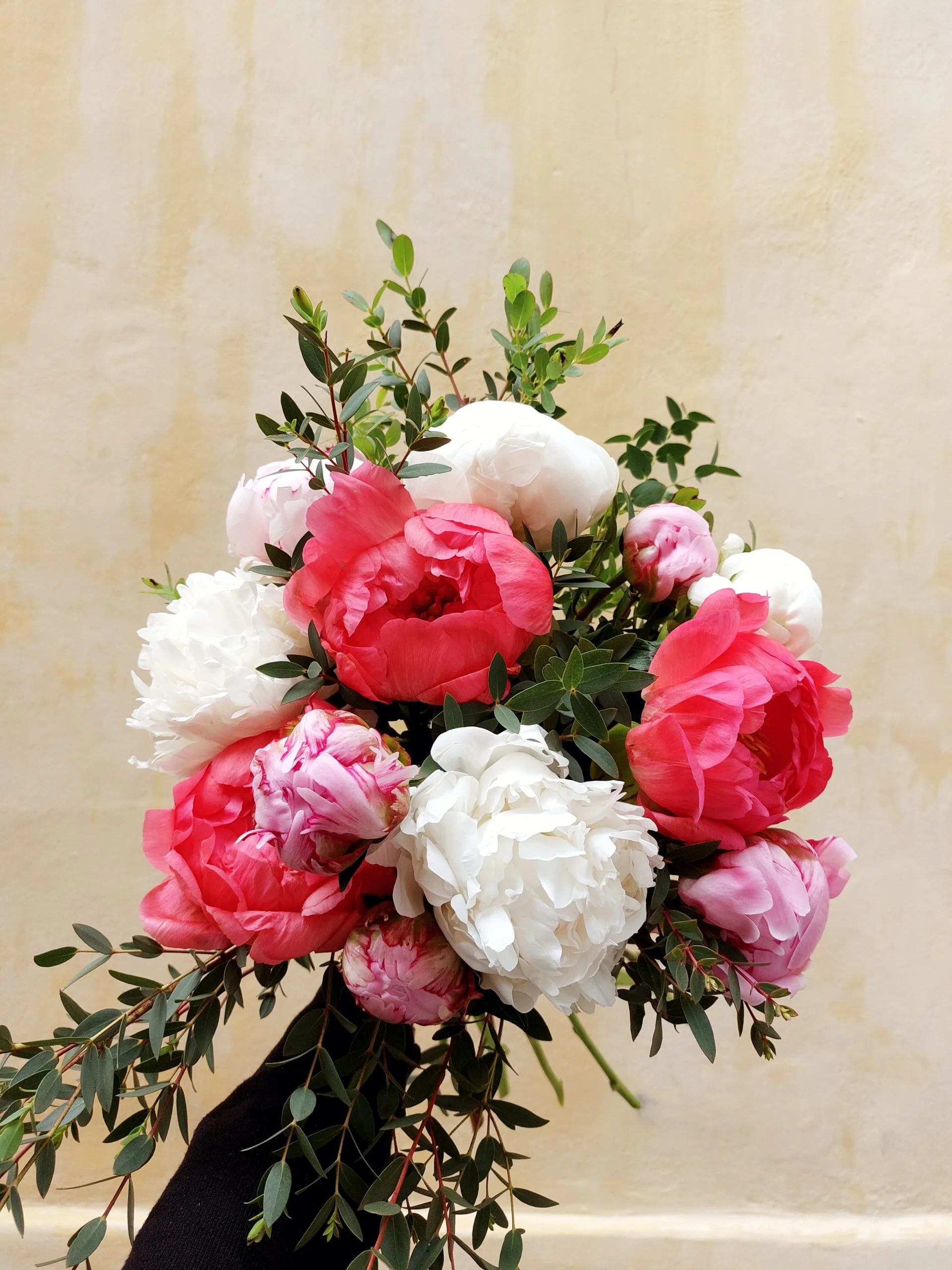 Bouquet de Pivoines, par Green Lab, fleuriste à Aix-en-Provence