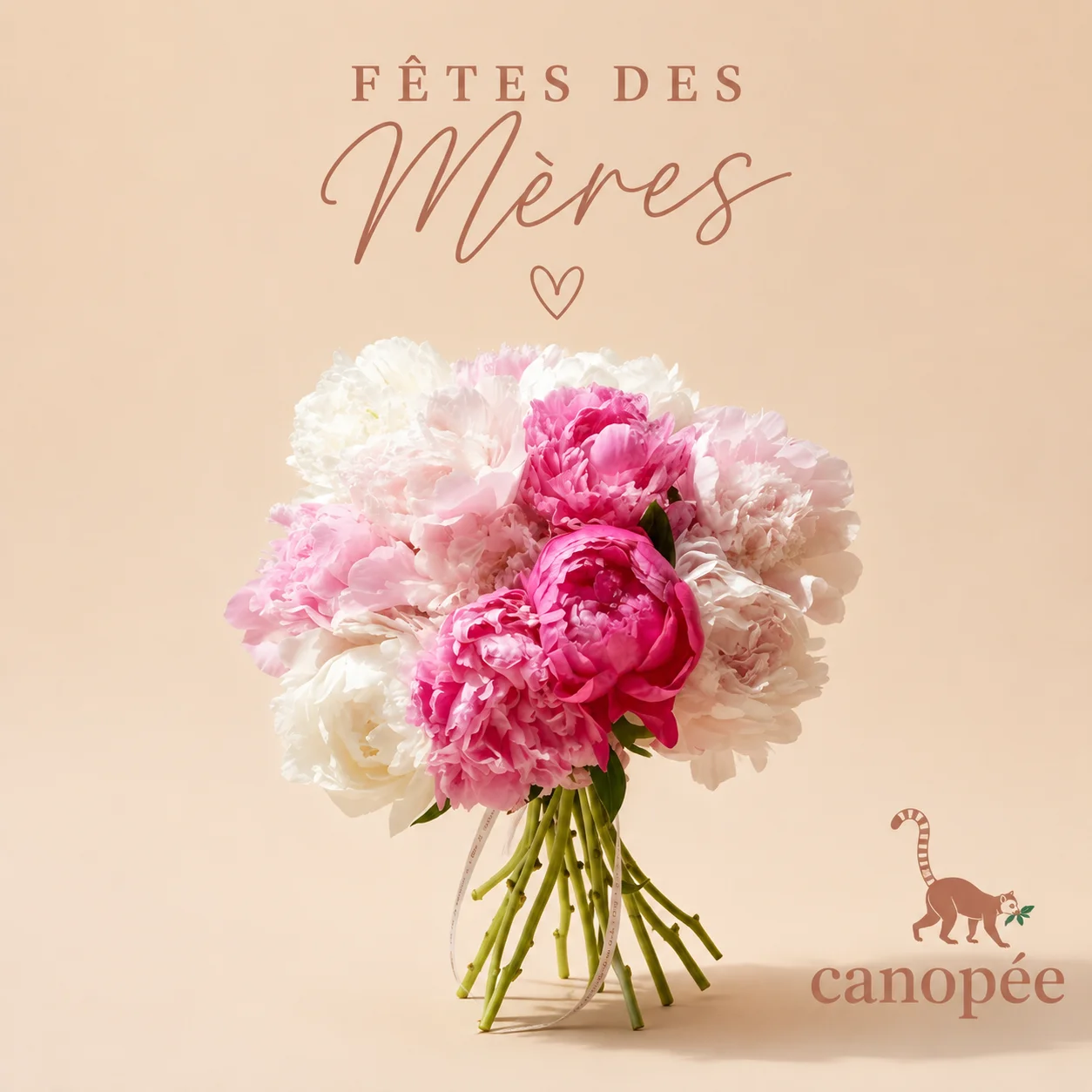 Bouquet de Pivoines – fêtes des Mère, par Canopée Marseille, fleuriste à Marseille