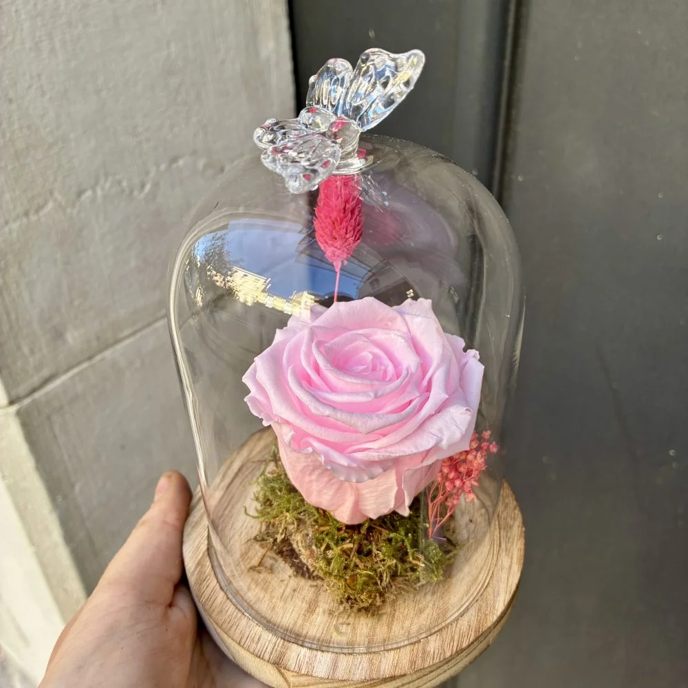 Rose rose clair éternelle sous cloche, par La Rose d'Or, fleuriste à Ollioules