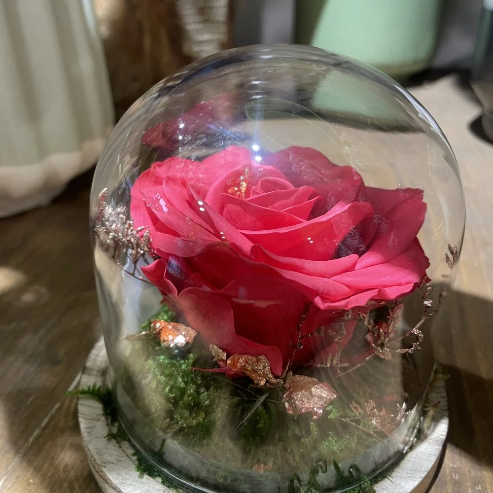 Rose éternelle Rouge, Corail ou Violine, par Chataigner Fleurs, fleuriste à Angers
