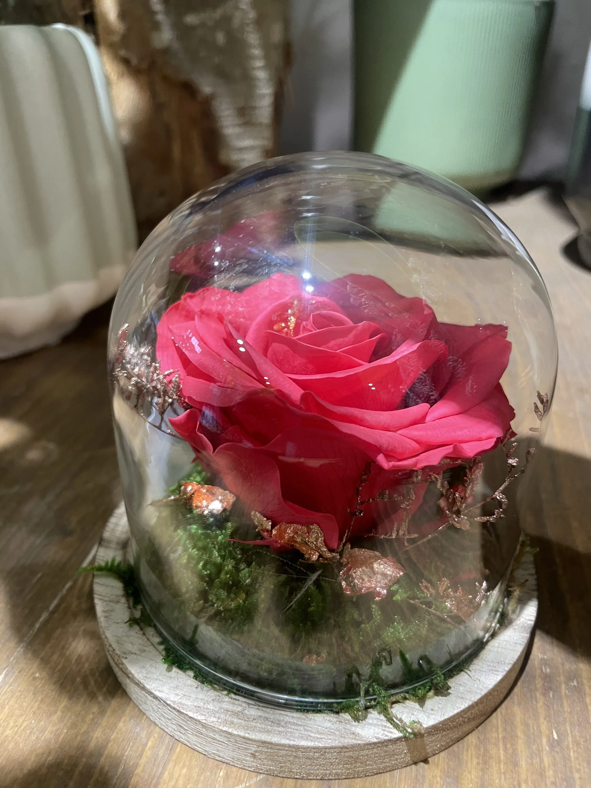 Rose éternelle Rouge, Corail ou Violine, par Chataigner Fleurs, fleuriste à Angers