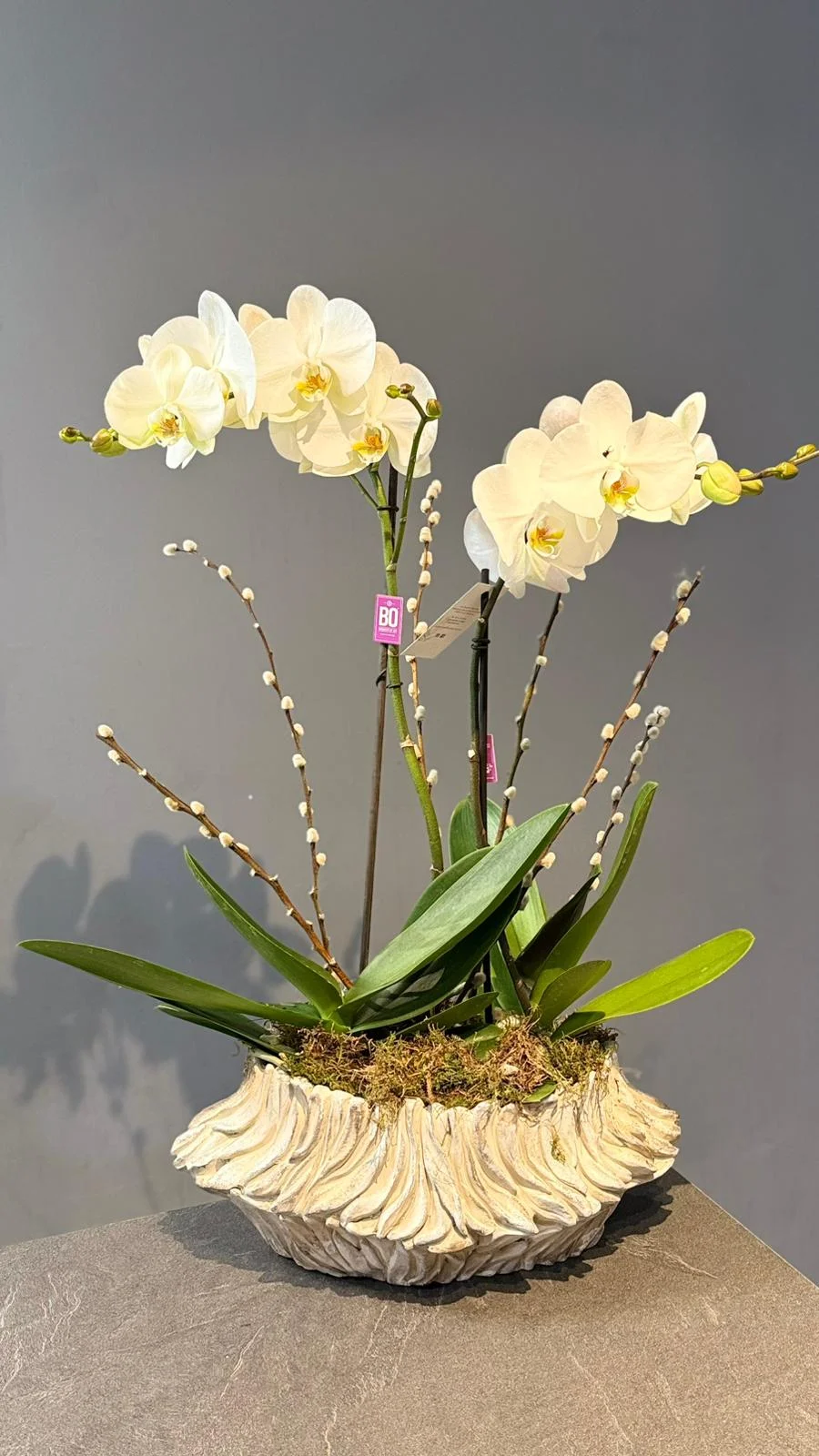 Orchidée décorée avec le pot, par Les fleurs de Célony, fleuriste à Aix-en-Provence