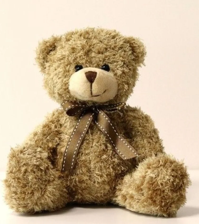 Petit Ours, par Sita Fleurs, fleuriste à Le Tampon