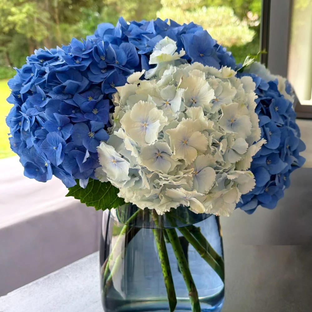 Bouquet d'Hortensias, par Les Rêveries d'Elise - Studio floral, fleuriste à Aix-en-Provence