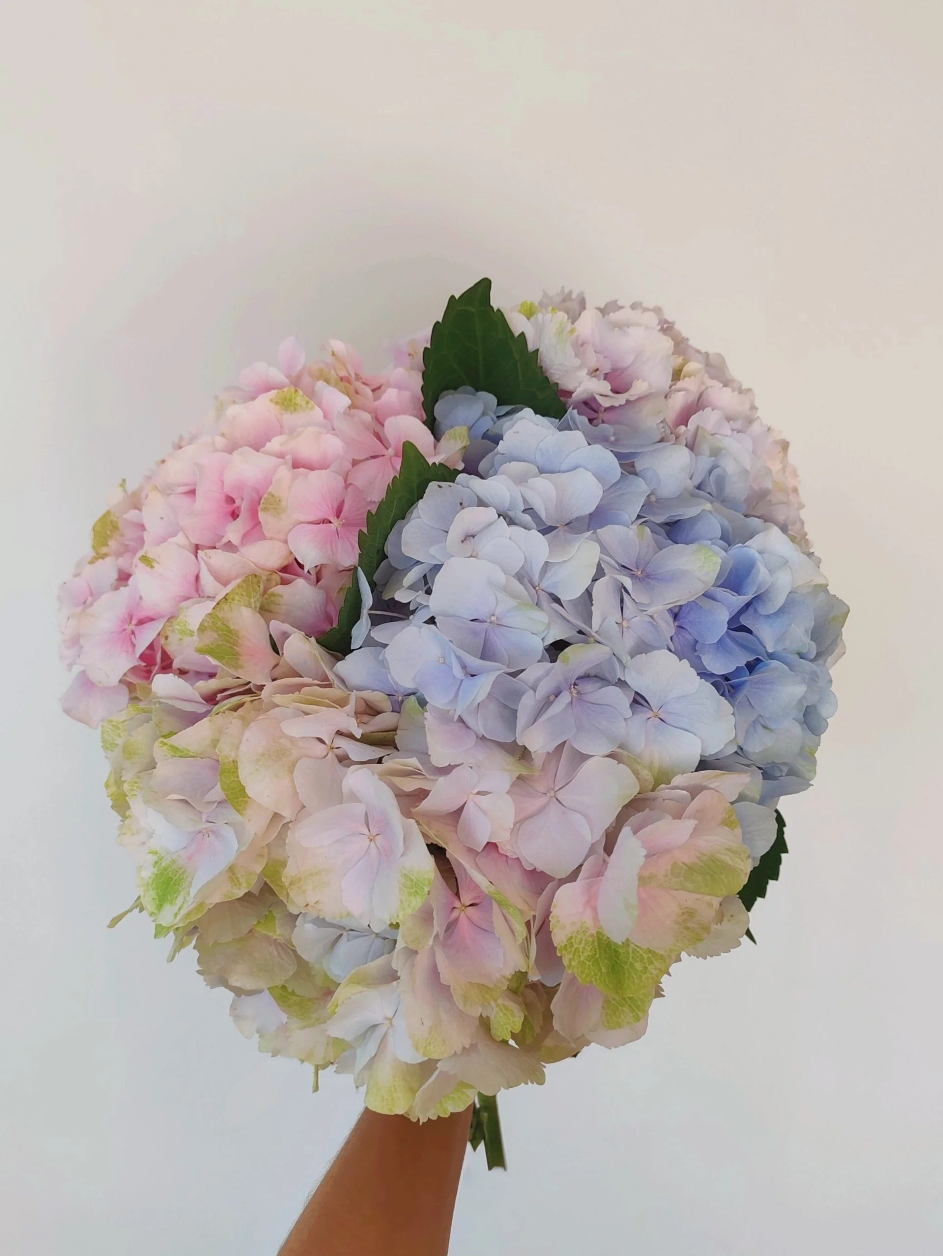 Bouquet d&rsquo;Hortensias, par Les Rêveries d'Elise - Studio floral, fleuriste à Aix-en-Provence