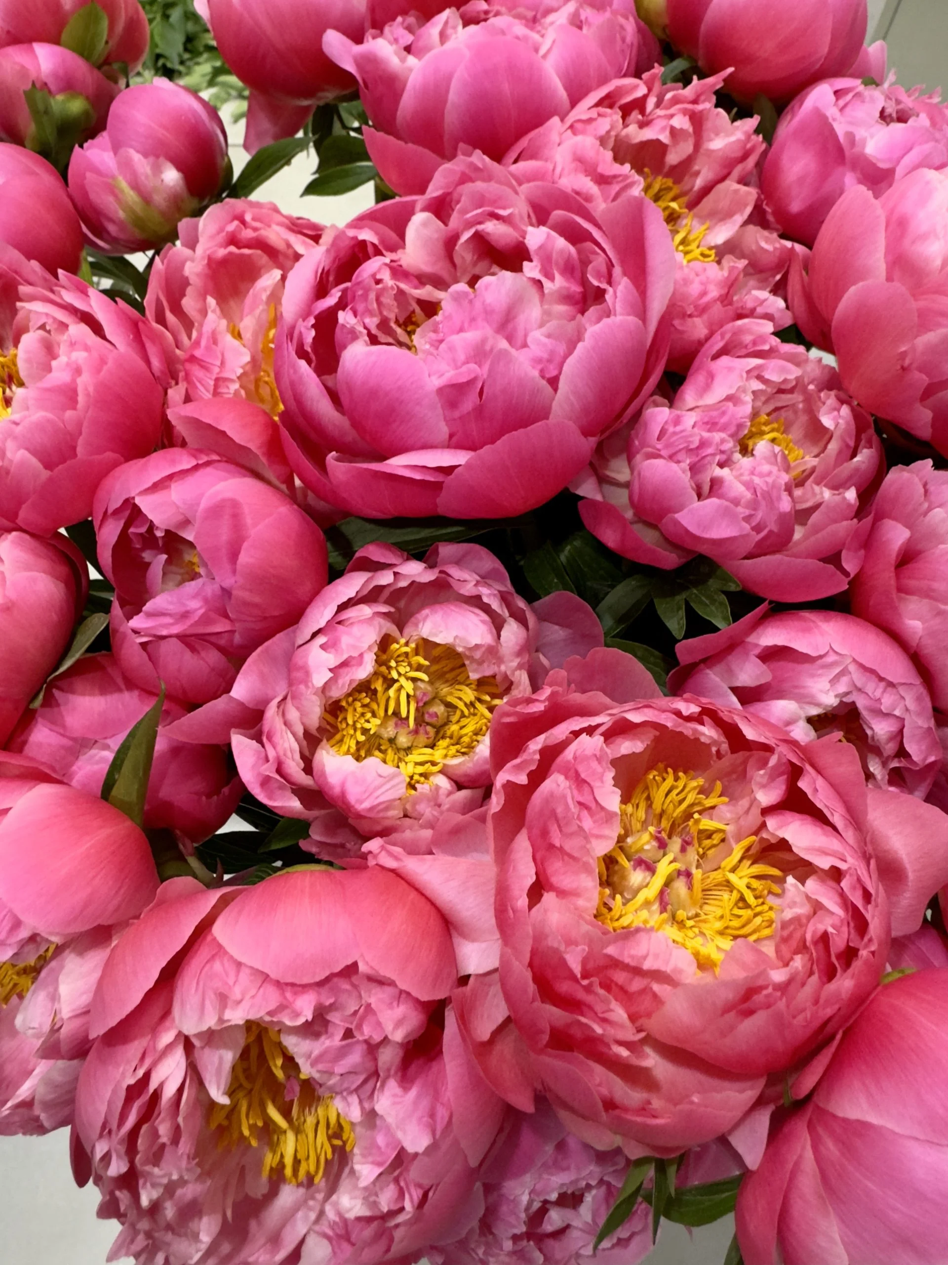 Bouquet de Pivoines, par Aux Colonnes Fleuries, fleuriste à Ajaccio