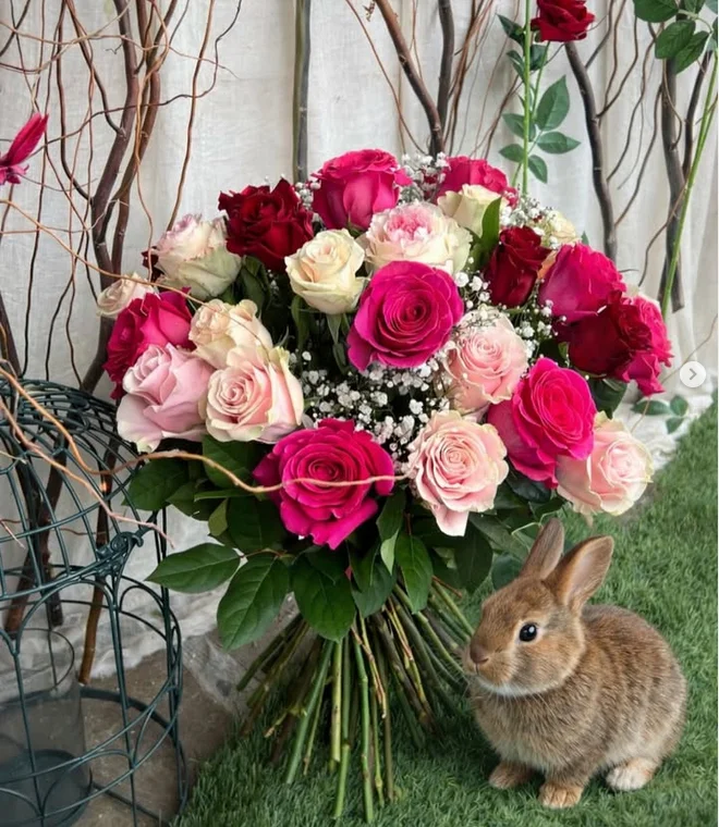 Bouquet de Roses roses, par Jackie Flore, fleuriste à Grasse