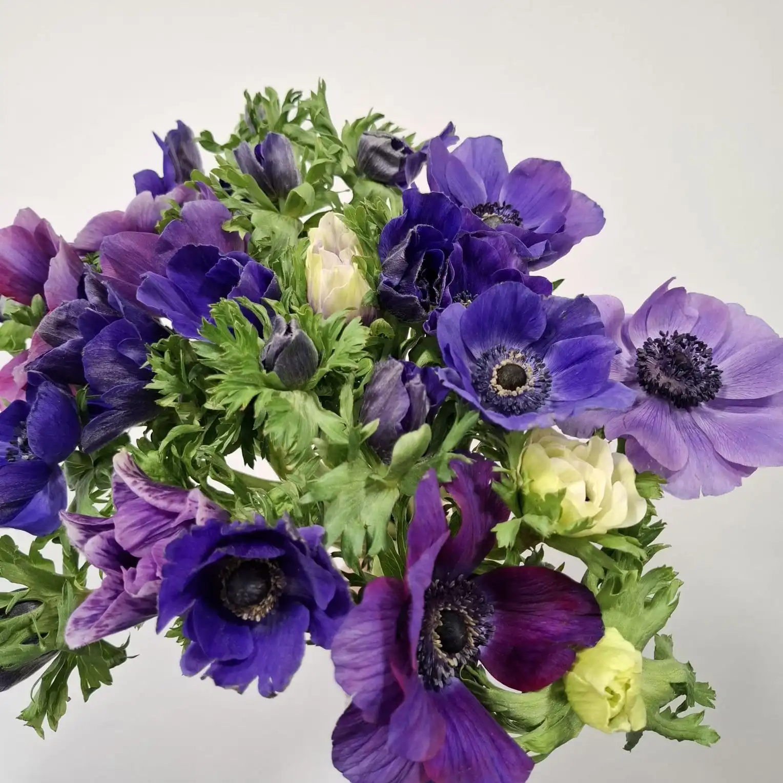 Livraison de fleurs Soorts-Hossegor et proximité, par Oxalis, artisan fleuriste
