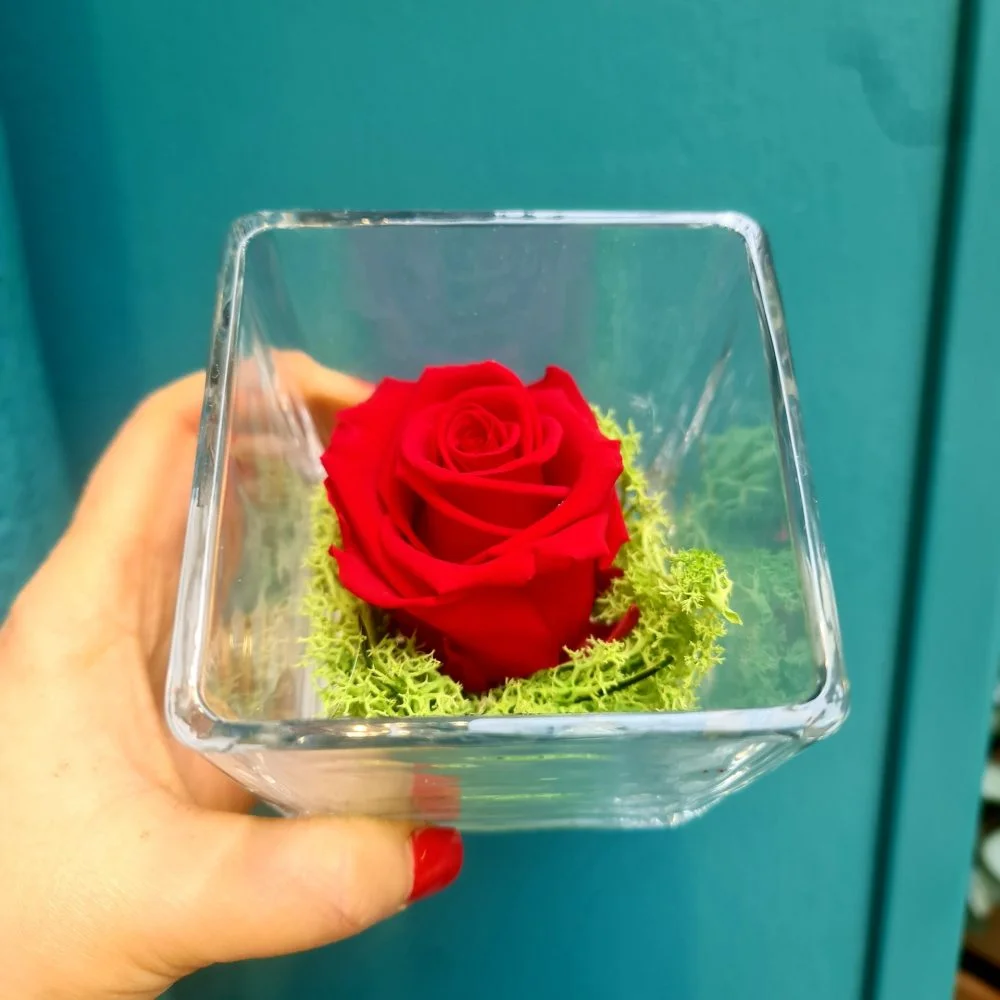Rose Éternelle, par Le Garden, fleuriste à Avignon