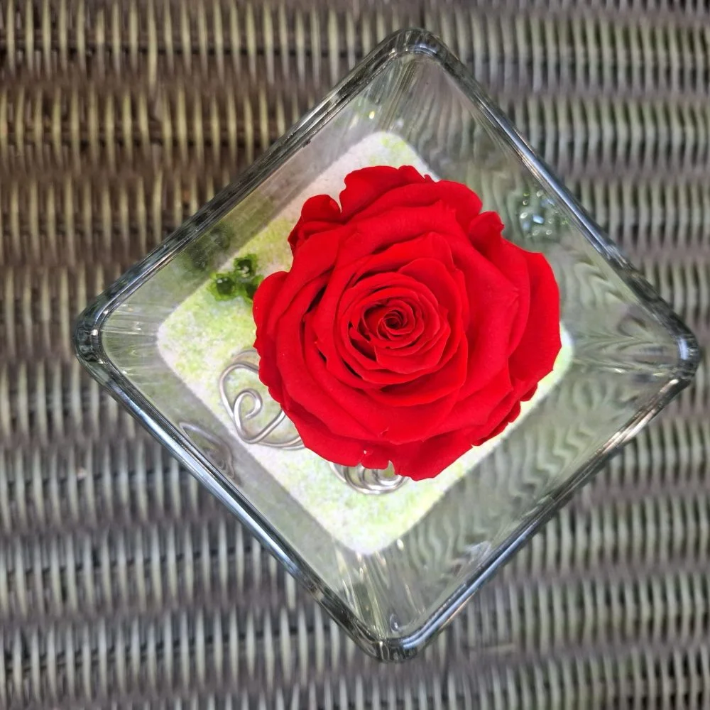 Rose éternelle, par MISS JANY FLEURS, fleuriste à Roubaix